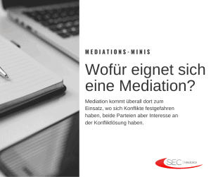 Read more about the article Mediations-Minis: Wofür eignet sich eine Mediation?